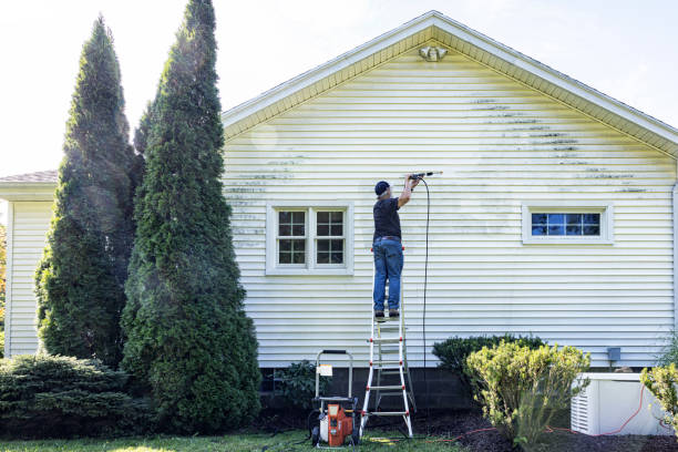 Best House Exterior Washing  in Washburn, IL
